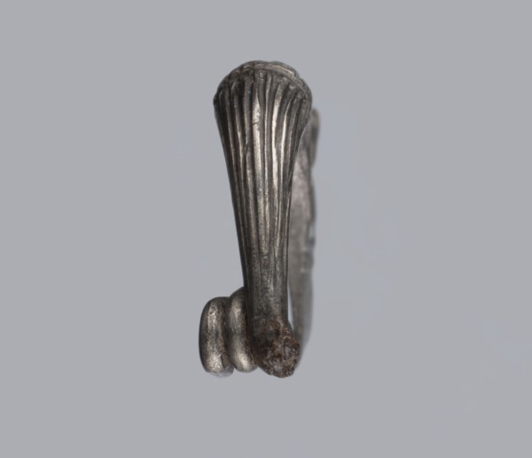 Snake-headed fibula, unknown Southern Italian workshop. Fibula with an arched, thick hoop. The hoop