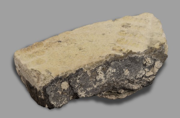 Fragment of a brick with relief decoration. Element of an unglazed panel with a depiction of a bull