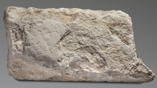 Relief from the mortuary temple of Niuserre, Niuserre ruler of Egypt; ca. 2445–2421 BC, restitution