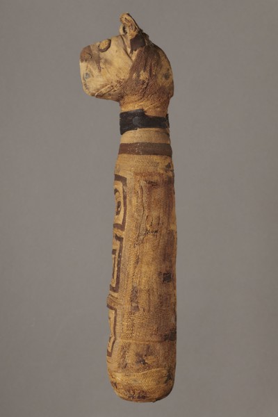 Cat mummy, unknown author; Cat mummy decorated with a meander made of white and brown bandages; 30