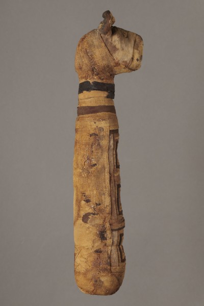 Cat mummy, cat mummy decorated with a meander made of white and brown bandages; materials: fabrics,