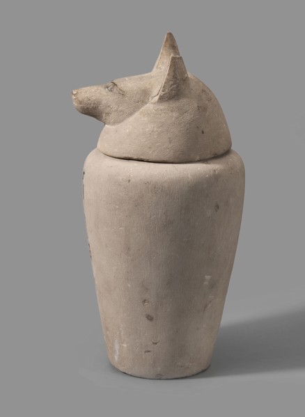 Canopic jar with a jackal's head, canopic jar, jackals, Duamutef mythology. The vessel widens