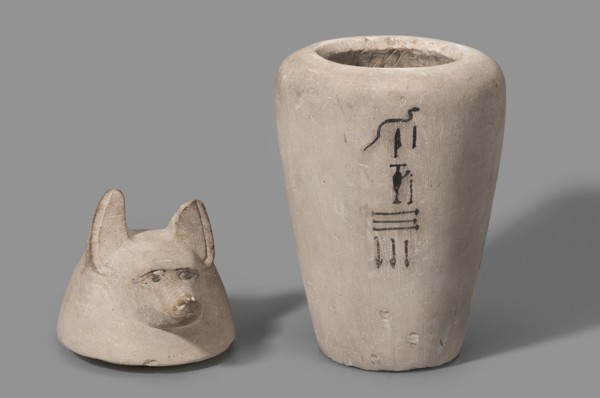 Canopic jar with a jackal's head, canopic jar, jackals, Duamutef mythology. The vessel widens