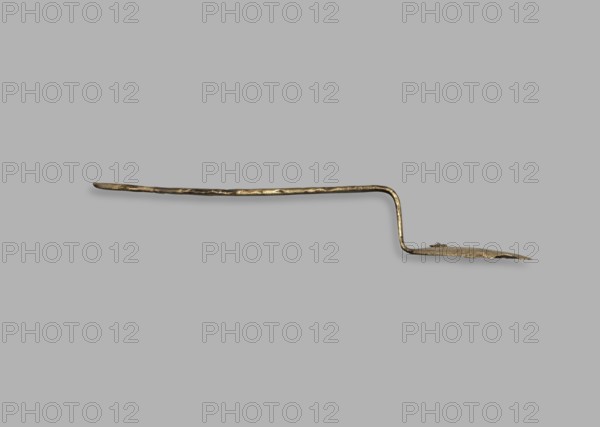 Medical tool fragment of strigilis?, tool, height 12.8 cm, possibly from Rome, Madeyski, Antoni