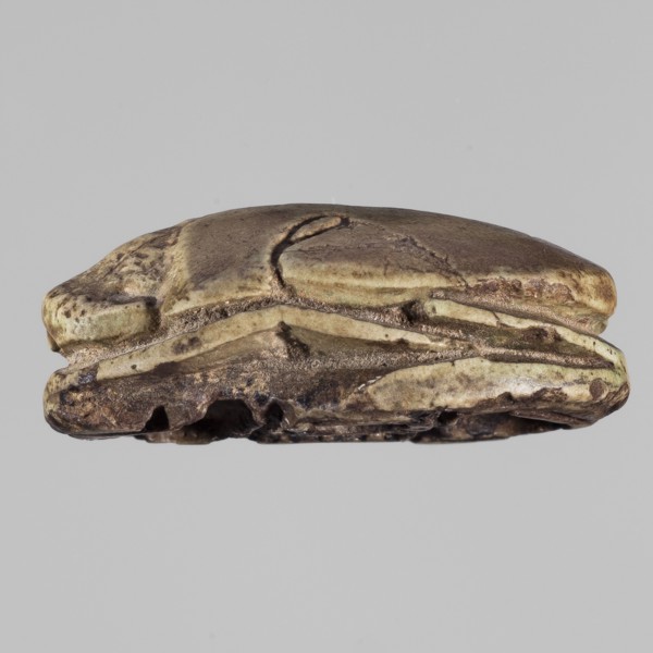 Scarab with the name Menkheperre. Protective amulet scarab with a decorated top engraved with a