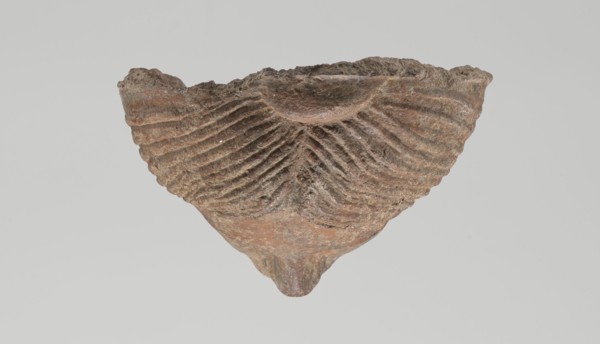 Female votive head. Female head with long, straight hair falling to the shoulders. Neck partially