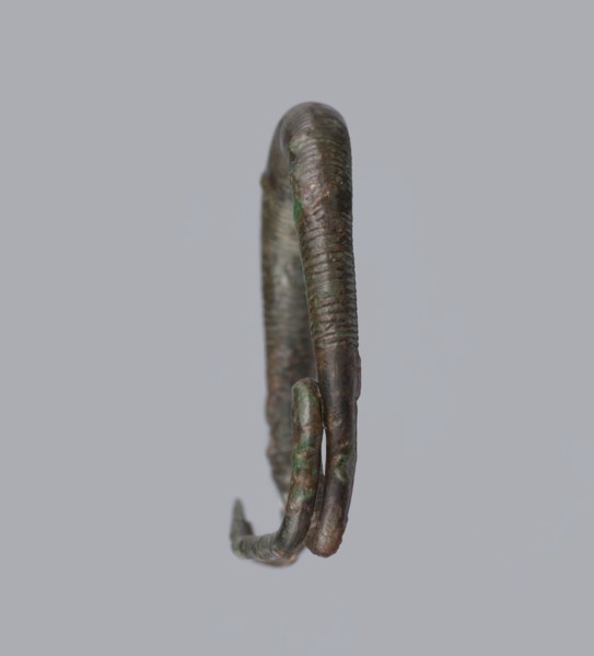 Arched fibula. One-piece fibula with an arched bow made of a round bar, decorated with groups of