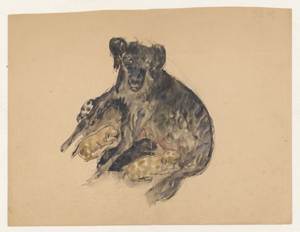 Drawing Notre petite Maline attached to a letter to Maria Mickiewiczówna; Tadeusz Makowski