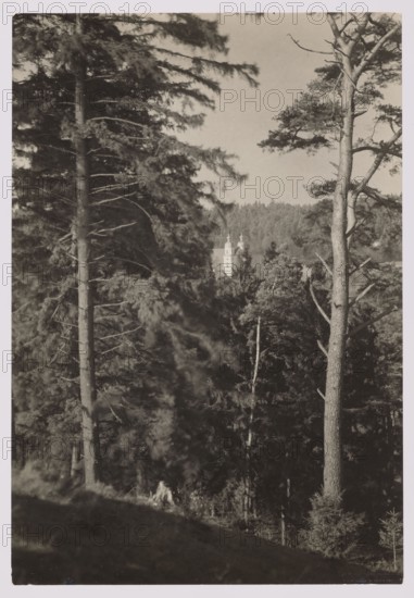 Trynopol Forest and Kalwaria, Bulhak, Jan 1876–1950 photographer, Kalwaria Wilenska Vilnius; Werki,