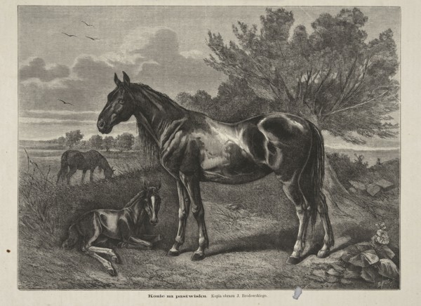 Reproduction of a painting: Józef Brodowski 1828–1900, Horses in the Pasture; 1873; painting;