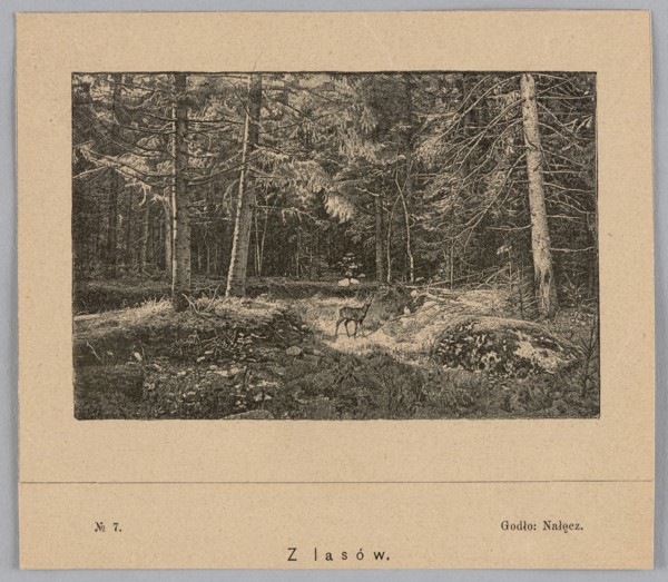Reproduction of a drawing: Feliks Brzozowski 1836–1892, From the Forests, painting; reproduction;