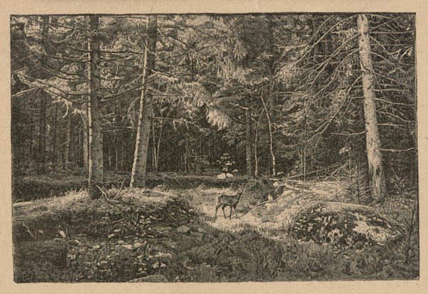 Reproduction of a drawing: Feliks Brzozowski 1836–1892, From the forests; painting; Polish