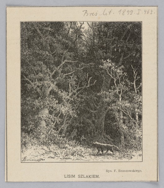 On the Fox Trail; from Biesiada Literacka 1899, no. 23 June 9, p. 463. By Feliks Brzozowski
