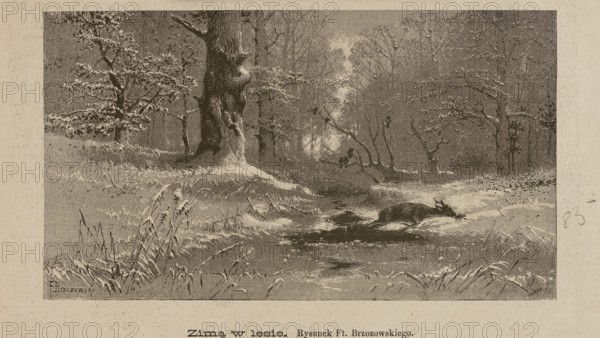 In Winter in the Forest, Feliks Brzozowski 1836–1892 illustrator/author, Lefman graphic artist,