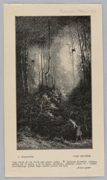Reproduction of an engraving: Feliks Brzozowski 1836–1892, A String of Sunflowers; illustration,