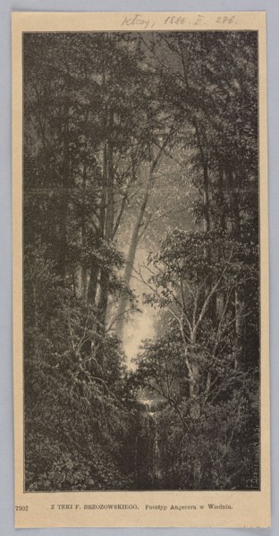 Reproduction of a drawing by Feliks Brzozowski 1836–1892, Forest Landscape; illustration showing