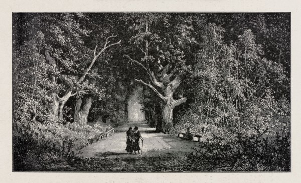 Under the old linden trees; from Biesiada Literacka 1901, no. 26 28 June, p. 528. Illustrator: