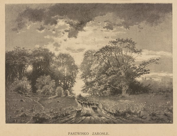 Overgrown pasture; illustration by Feliks Brzozowski 1836–1892, 1892. Pastoral landscape depicting