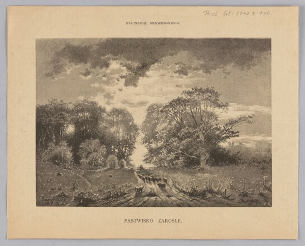 Overgrown pasture; illustration by Feliks Brzozowski 1836–1892, 1892; landscape—pastoral country