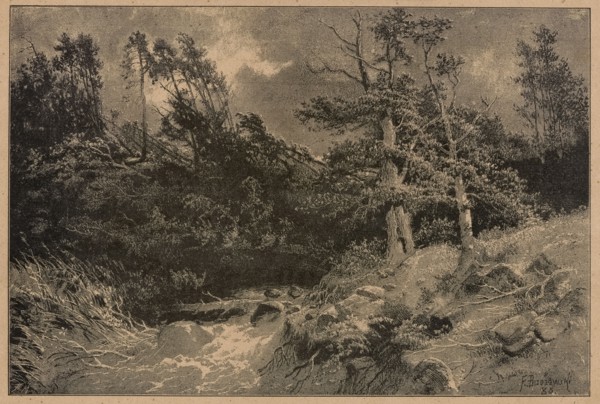 After the storm; 1886; illustration for Klosy; forest landscape showing landscapes during a storm;