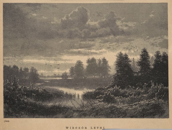 Summer Evening; Brzozowski, Feliks 1836–1892; 1885; illustration/graphic depicting birds and a
