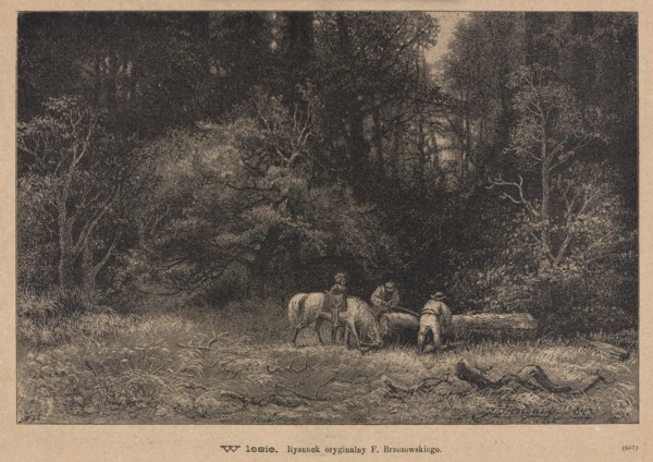 In the forest; 1885. Drawing by Feliks Brzozowski 1836–1892; reproduced by Angerer & Göschl. Press