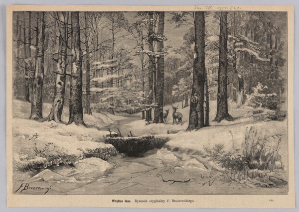 Inside the forest; 1881. Woodcut/graphic illustration by Józefa Kleczenska after Feliks Brzozowski