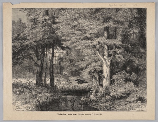 The interior of the forest near the Narew River; woodcut after a painting by Feliks Brzozowski