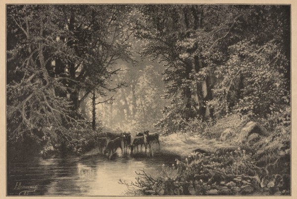 Forest spring; Brzozowski, Feliks 1836–1892 draughtsman/author; Angerer & Göschl Vienna; graphic
