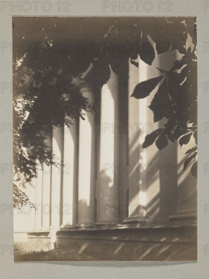 The cathedral from the castle garden; photograph, Bulhak, Jan 1876–1950, Vilnius, cathedral
