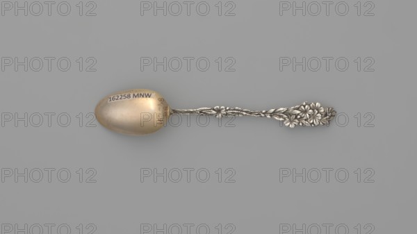 Spoon, Wallace & Sons Mfg. Co. fl. 1871–, goldsmith company; Souvenir spoon with an ovoid scoop,