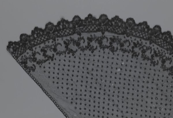 Veil, veils, lace, clothing accessories, fashion. Lace with a floral-geometric pattern running in a