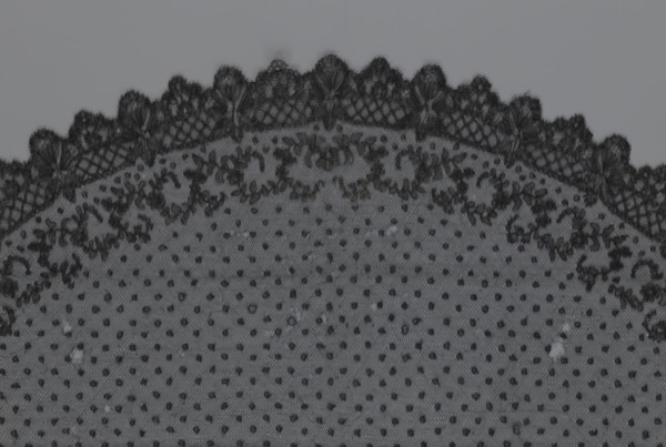 Veil, veil, lace, clothing accessory, fashion. Lace with a floral-geometric pattern running in a