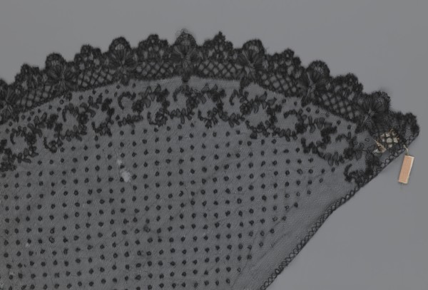 Veil, veils, lace, clothing accessories, fashion. Lace with a floral-geometric pattern running in a