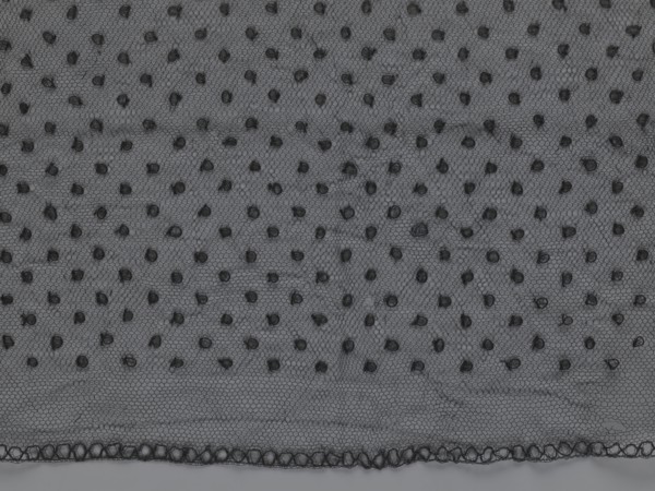 Veil;, lace; clothing accessory; ; fashion. Lace with a floral-geometric pattern running in a wide