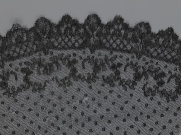 Veil, veils, lace, clothing accessories, fashion. Lace with a floral-geometric pattern running in a