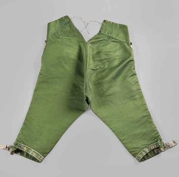 Trousers, plant motifs, floral motifs, clothing, fashion, men's clothing, 18th century clothing.