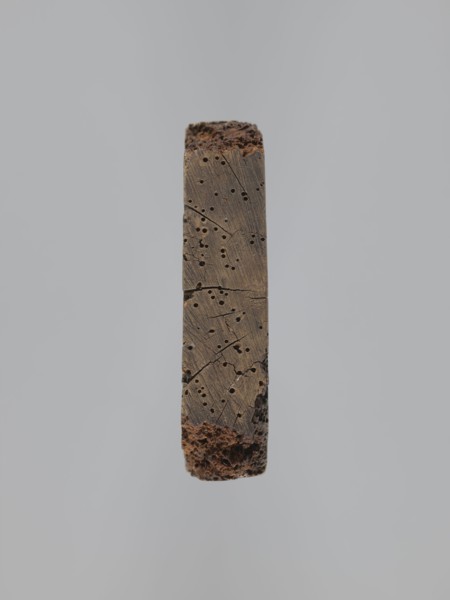 A single-sided gingerbread mold of rectangular shape with the image of a male figure in a richly