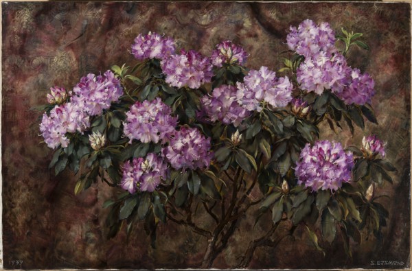Rhododendrons, Ejsmond, Stanislaw 1894–1939 painter, flowers, contemporary painting, rhododendrons,