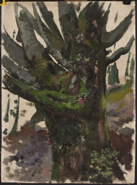 Study of a Tree, Leon Wyczólkowski 1852–1936, oil painting, study of trees/landscape, 19th/20th