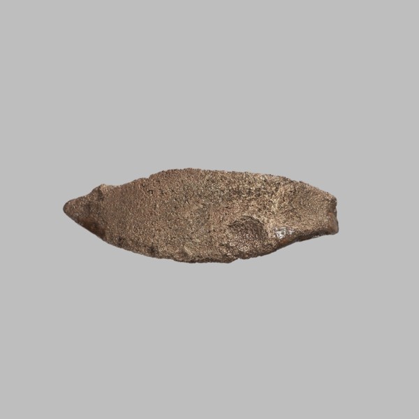 Eye setting, Small eye setting, from a child's sarcophagus mask or from a figurine's face;