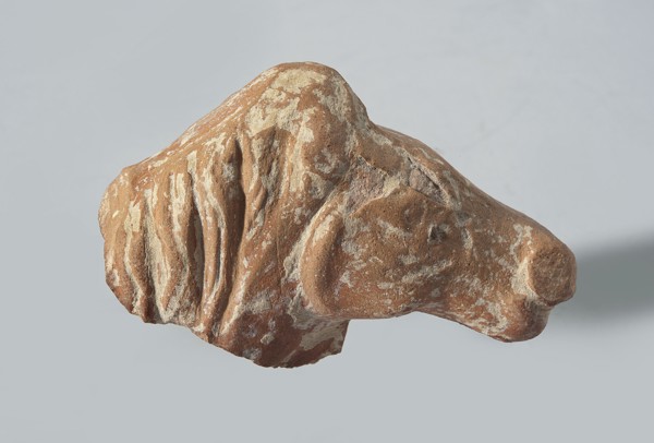Head of a terracotta horse figurine. Terracotta. Head with part of the neck and mane of a horse;