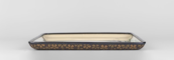 Tray, Namikawa Sôsuke 1847–1910 maker, Japanese, Meiji period ca. 1890–1900. Rectangular cloisonné