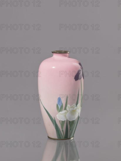 Vase, Taisho period ca. 1912–1926, Nagoya, Japan; cloisonné enamel; decorated with flowers—irises;