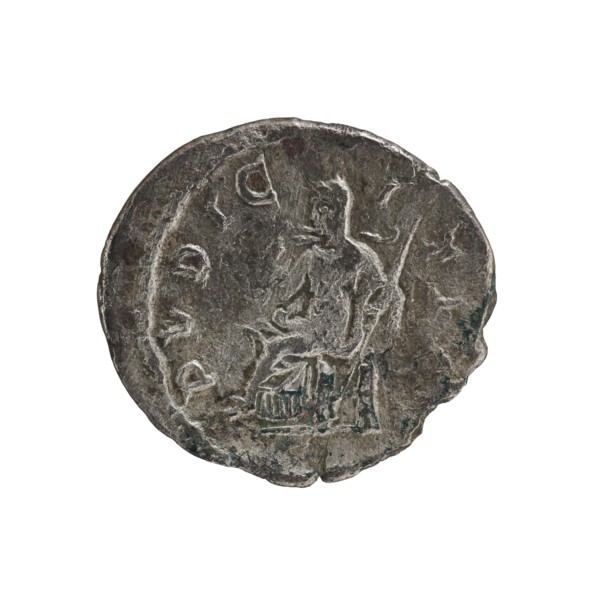 Denarius of Julia Maesa ca. 160–224; Augusta 218–224. Obverse: Draped bust of Julia Maesa facing