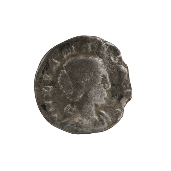 Denarius of Elagabalus reigned 218–222. Obverse: IVLIA MAESA AVG — Draped bust of Julia Maesa