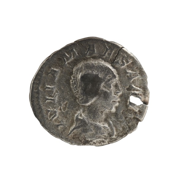 Denarius, Elagabalus 204–222; Roman emperor 218–222. Obverse: IVLIA MAESA AVG — Draped bust of
