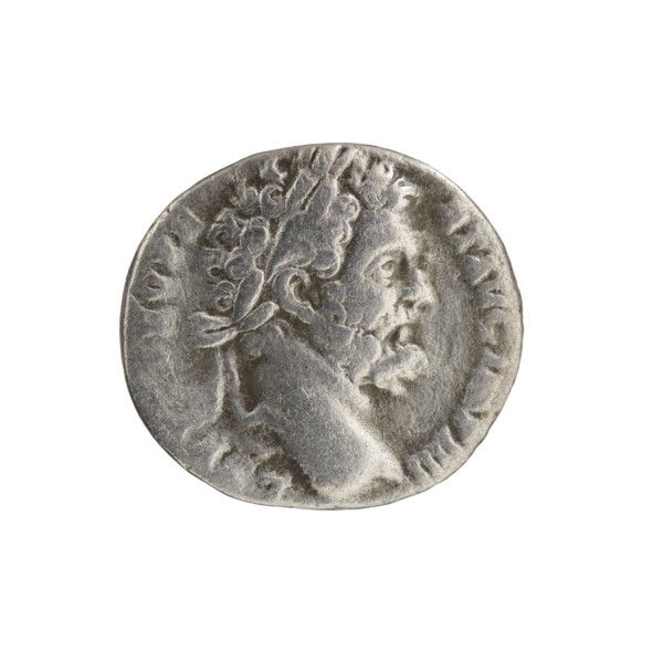 Denarius of Septimius Severus 146–211; Roman emperor 193–211. Obverse: Head of Septimius Severus in