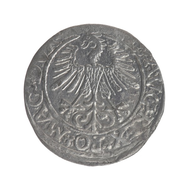Lithuanian half-grosz, Sigismund II Augustus King of Poland; 1544–1572; obverse: Polish Eagle, in