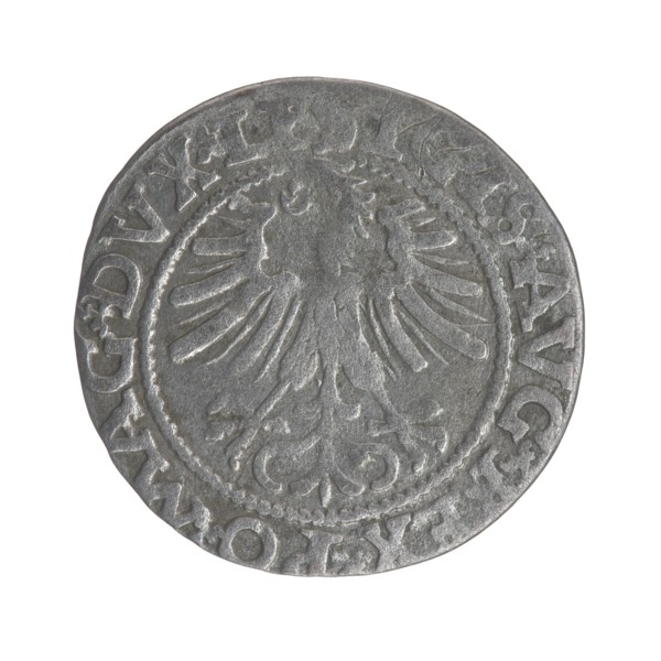 Lithuanian half-grosz, Sigismund II Augustus King of Poland; 1544–1572 author, Tarlo, Gabriel ca.